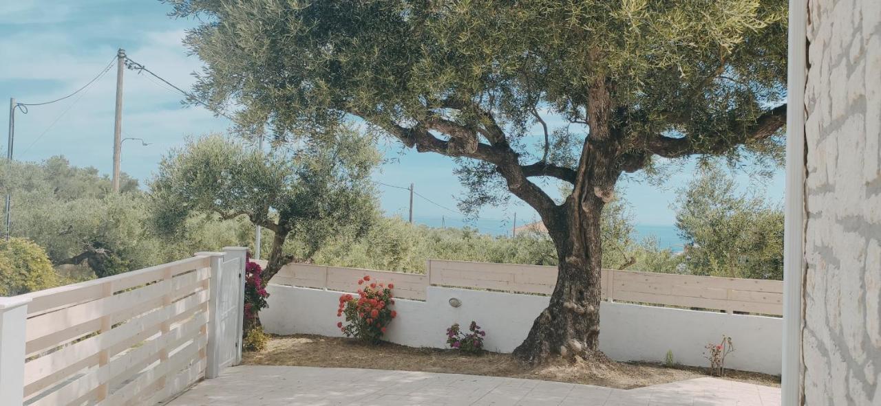 Plános Villa Zante Avia מראה חיצוני תמונה